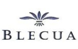 logo pequeño Bodegas Blecua