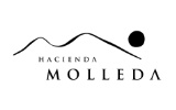 Logo pequeño Bodegas Hacienda Molleda