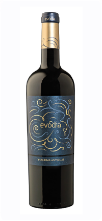 Evodia pizarras antiguas - Bodega San Alejandro